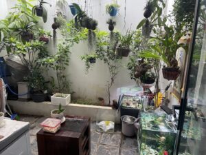 BÁN NHÀ 2 TẦNG HIỆN ĐẠI – NGUYỄN VĂN HUỀ, THANH KHÊ